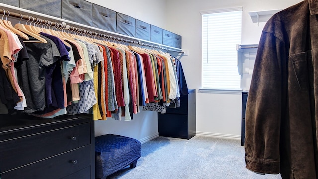 7436 Palisades Dr, Rowlett, TX 75088 - walk in closet featuring carpet