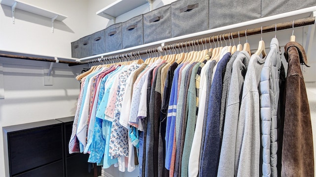 7436 Palisades Dr, Rowlett, TX 75088 - view of spacious closet
