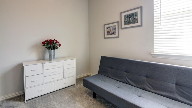 7436 Palisades Dr, Rowlett, TX 75088 - sitting room with carpet floors and baseboards