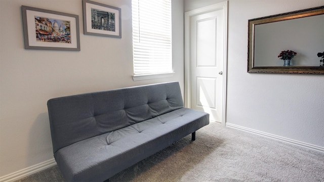 7436 Palisades Dr, Rowlett, TX 75088 - sitting room featuring carpet floors and baseboards
