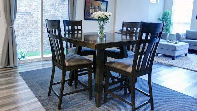 7436 Palisades Dr, Rowlett, TX 75088 - dining space featuring healthy amount of natural light and wood finished floors