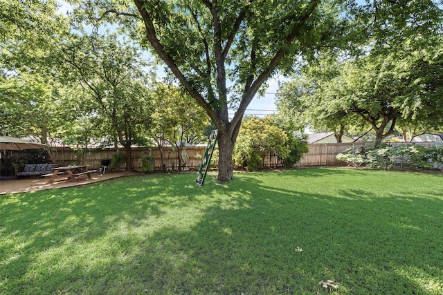 view of yard with a patio
