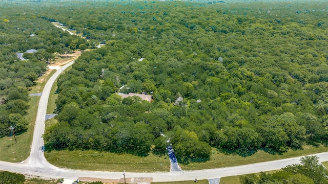 348 Indian Trl, Decatur, TX 76234 - bird's eye view of a heavily wooded area