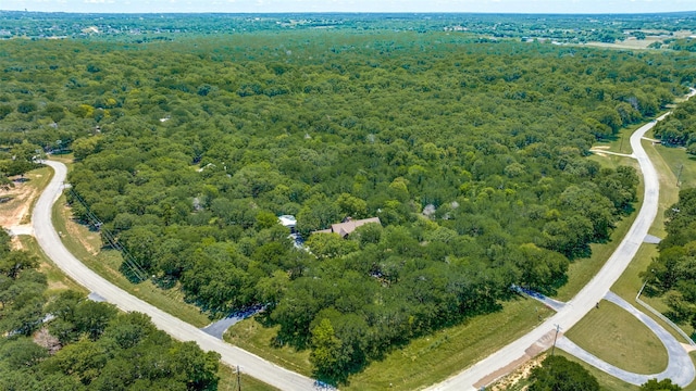 348 Indian Trl, Decatur, TX 76234 - aerial view of a heavily wooded area