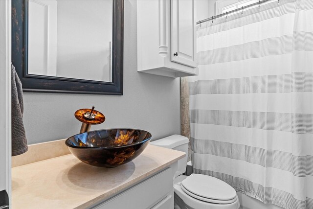 bathroom with toilet and vanity