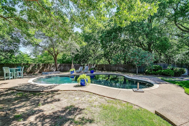 6700 Lions Gate Ct, Arlington, TX 76001 - view of swimming pool with a patio and a fenced backyard