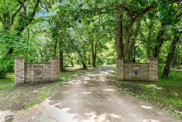 3650 Mount Zion Rd, Midlothian, TX 76065 - view of concrete road