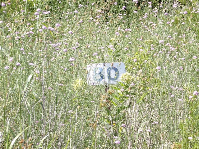 TBD County Road 1089, Royse City, TX 75189