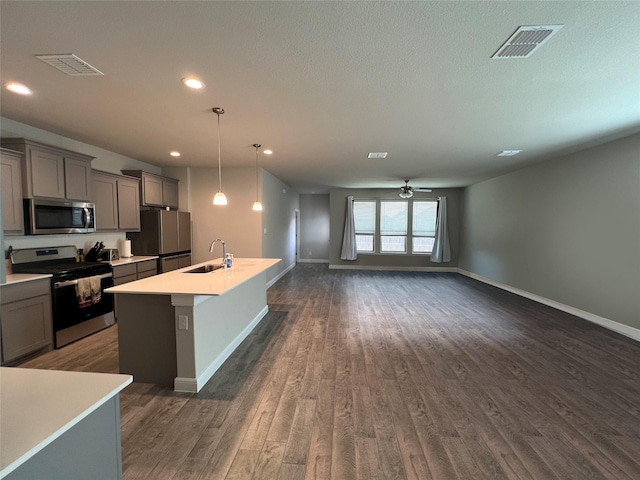 5266 Meadow Ln, Krum, TX 76249 - kitchen with stainless steel appliances, a sink, gray cabinets, an island with sink, and dark wood-style flooring