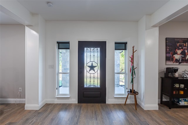 117 Rock Salt Dr, Springtown, TX 76082 - foyer entrance with wood finished floors and baseboards