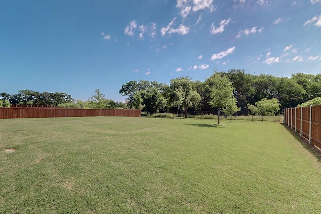308 Secretariat, Hickory Creek, TX 75065 - view of yard