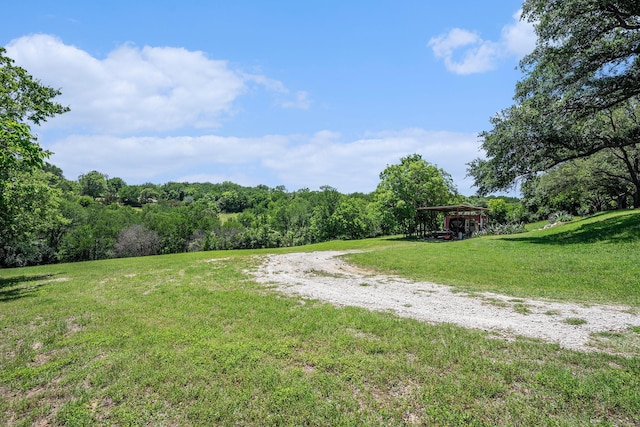 4151 Oakcrest Ln, Fort Worth, TX 76126 - view of dirt / gravel road featuring a forest view