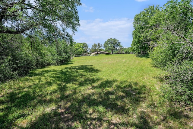 4151 Oakcrest Ln, Fort Worth, TX 76126 - view of green lawn