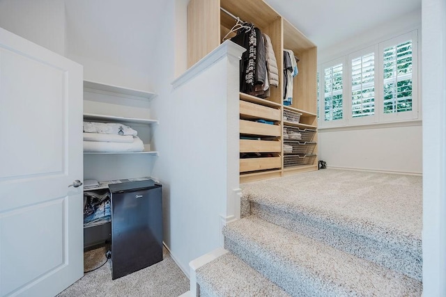 513 Suncreek Dr, Allen, TX 75013 - walk in closet featuring carpet floors