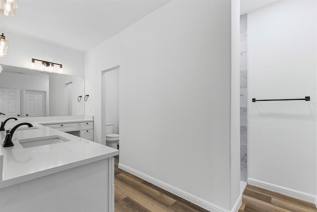 1612 Cheyenne Trl, Granbury, TX 76048 - bathroom with wood finished floors, vanity, baseboards, toilet, and a closet