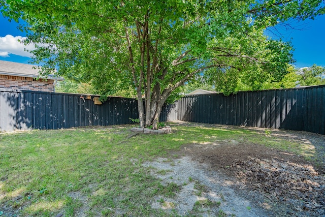 9406 Shipman St, Rowlett, TX 75088 - view of yard