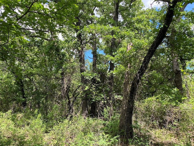 106 Hondo Dr, Nocona, TX 76255