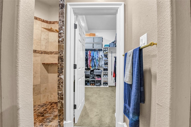 124 Oakvista Dr, Aledo, TX 76008 - bathroom with tiled shower, a textured wall, and a spacious closet