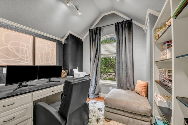 124 Oakvista Dr, Aledo, TX 76008 - home office featuring rail lighting, lofted ceiling, and light wood-style flooring