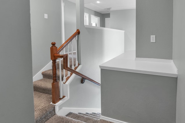 4504 Angelina Way, Fort Worth, TX 76137 - stairway with carpet flooring