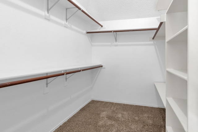 4504 Angelina Way, Fort Worth, TX 76137 - walk in closet with carpet