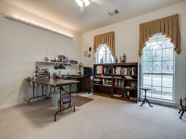 503 Hillcrest Ln, Krum, TX 76249 - office space featuring carpet, healthy amount of natural light, and ceiling fan