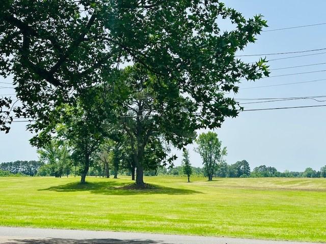 view of community with a yard