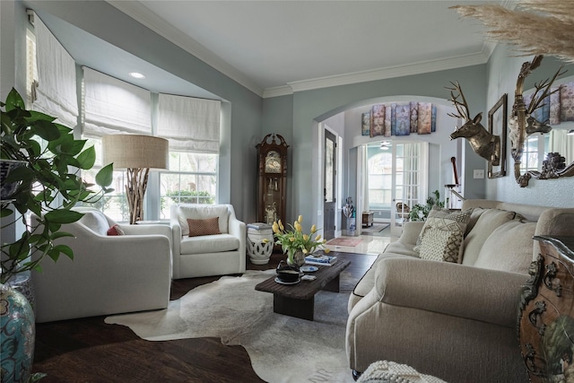 1217 Waterford Way, Allen, TX 75013 - living room with arched walkways, wood finished floors, and crown molding