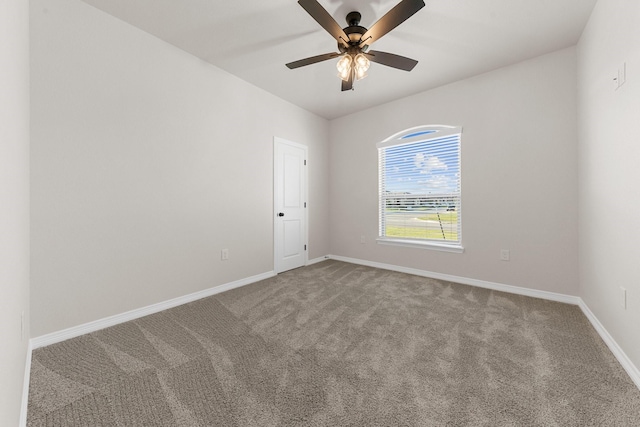 8917 Sassafras St, Temple, TX 76502
