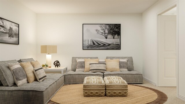 804 Enys Rd, Mckinney, TX 75069 - carpeted living room with baseboards