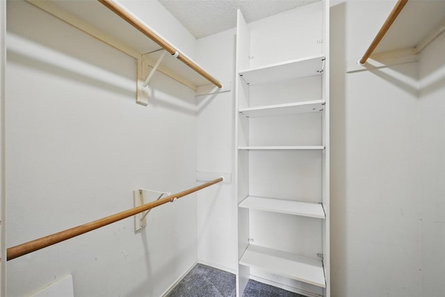 3211 Ruidoso Ln, Mckinney, TX 75070 - view of walk in closet