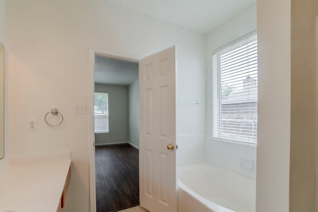 4617 Barnhill Ln, Fort Worth, TX 76135 - full bath featuring plenty of natural light, a bath, vanity, and wood finished floors
