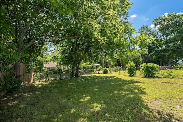 6058 Golden Gate Dr, Dallas, TX 75241 - view of yard