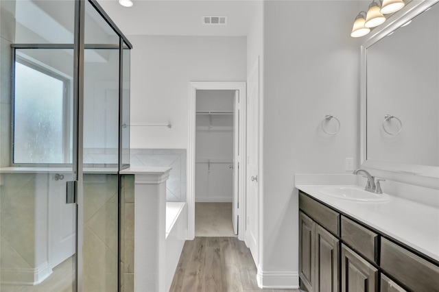 2917 Bobcat Dr, Melissa, TX 75454 - bathroom featuring wood finished floors, vanity, a bath, a walk in closet, and a shower stall