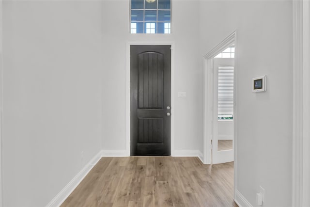 2917 Bobcat Dr, Melissa, TX 75454 - entryway featuring baseboards, wood finished floors, a towering ceiling, and healthy amount of natural light