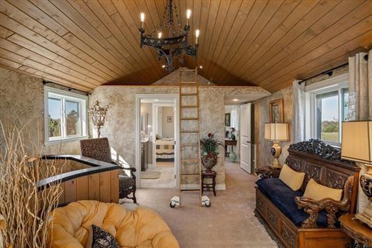1847 N State Highway 19, Emory, TX 75440 - sitting room featuring wood ceiling, a chandelier, vaulted ceiling, and carpet