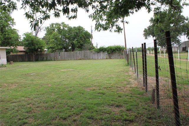 314 Cedar St, Bangs, TX 76823 - view of yard