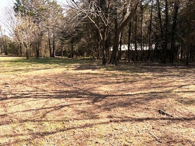 426 Gun Club Rd, Denison, TX 75021 - view of local wilderness