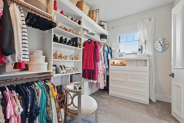 1316 Sparrow Hawk Ln, Gunter, TX 75058 - walk in closet with carpet flooring