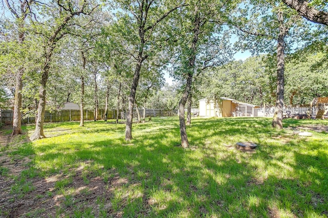 1201 W Buffalo Trl, Joshua, TX 76058 - view of yard
