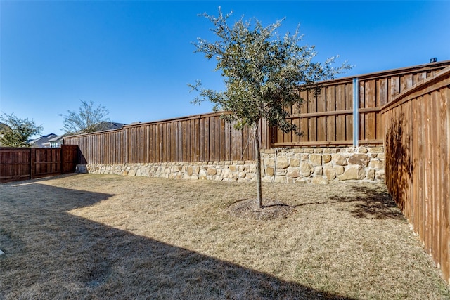 2228 Sandrellan St, Fort Worth, TX 76008 - view of fenced backyard