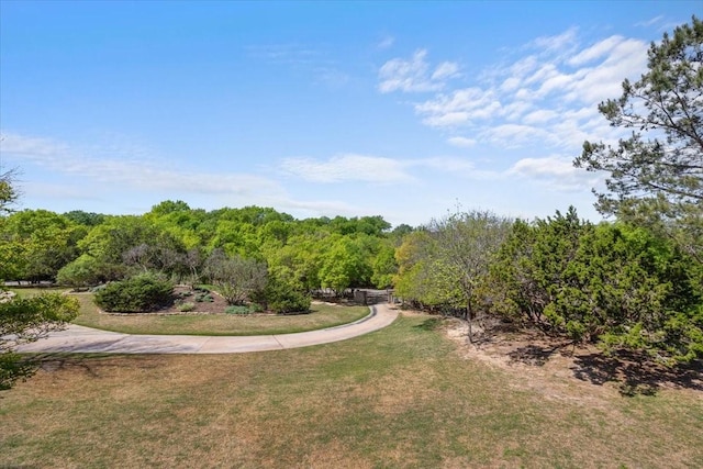 201 Jenkins Rdg, Aledo, TX 76008 - view of grassy yard with a forest view