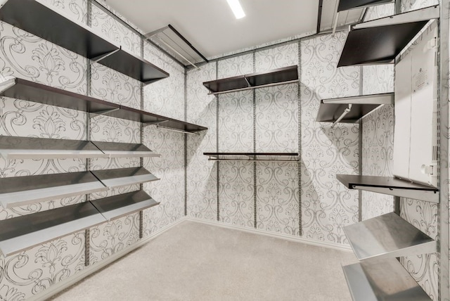 3594 Dover Dr, Mckinney, TX 75069 - spacious closet with carpet flooring