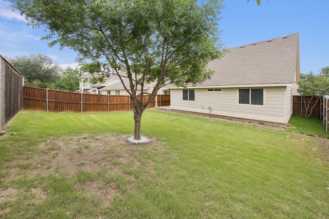 9712 Hedge Bell Dr, Mckinney, TX 75072 - view of yard
