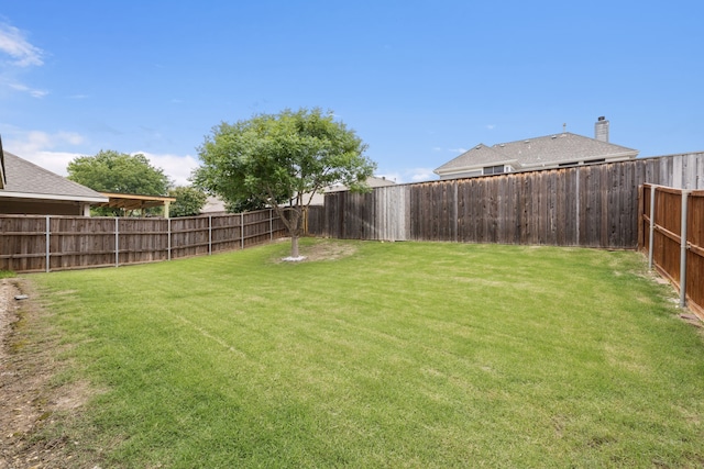 9712 Hedge Bell Dr, Mckinney, TX 75072 - view of yard