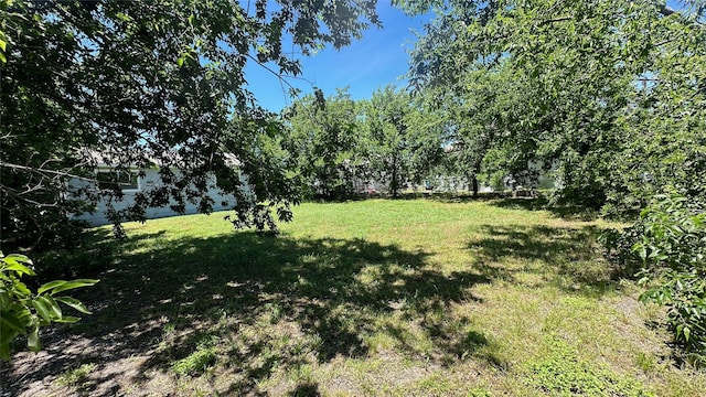 303 Luby Dr, Tom Bean, TX 75489 - view of grassy yard