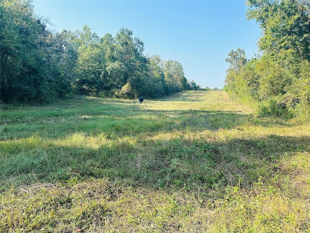 637 County Road 4420, Winnsboro, TX 75494 - view of tree filled area featuring a view of countryside
