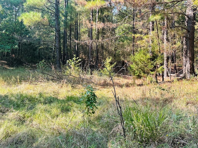 637 County Road 4420, Winnsboro, TX 75494 - view of woods
