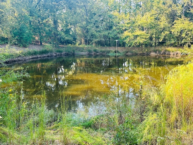 637 County Road 4420, Winnsboro, TX 75494 - water view
