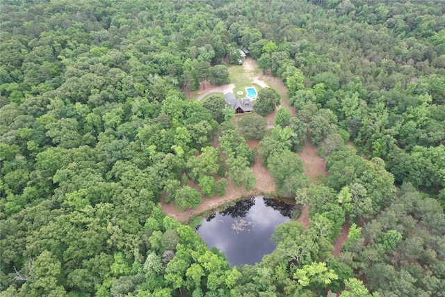 637 County Road 4420, Winnsboro, TX 75494 - view of property location with a forest and a large body of water